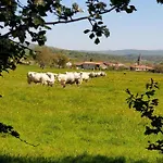 Marius Druillat